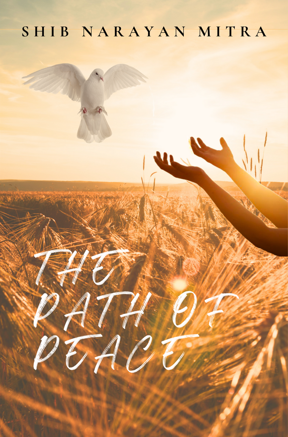 The path of peace front cover